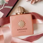 Amouage Guidance