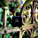 Chanel Bleu de EdT - سعیدسوگل