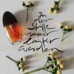 کالوین کلین آبسشن زنانه - سعید سوگل