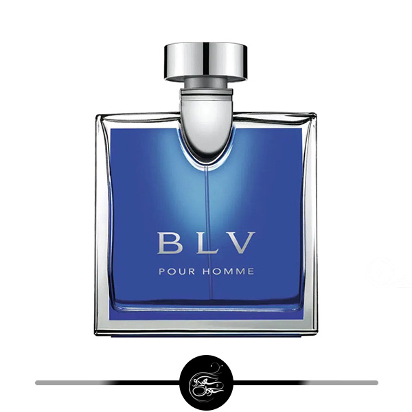 بی ال وی پور هوم- سعید سوگل