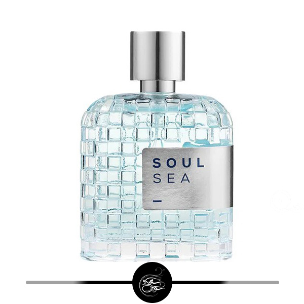 سول سی- سعید سوگل