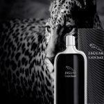 جگوار کلاسیک بلک - Image 3