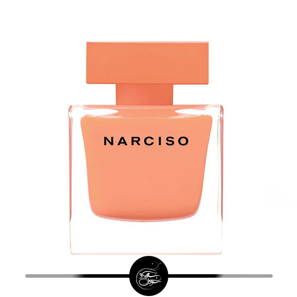 نارسیسو رودریگز آمبر ادوپرفیوم- سعید سوگل