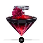 له نویت ترزور اینتنس- سعیدسوگل