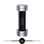 دیویدف چمپیون