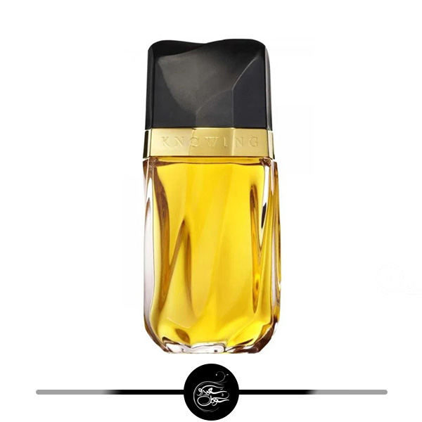 استی لودر نویینگ