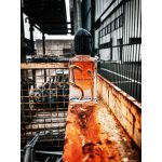 جیورجیو آرمانی اس آی اینتنس - Image 2